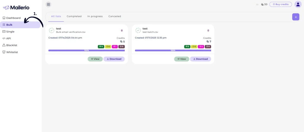 bulk upload mailerio view