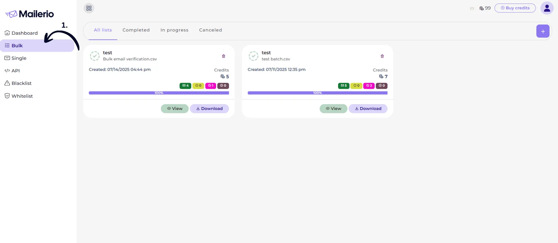 bulk upload mailerio view